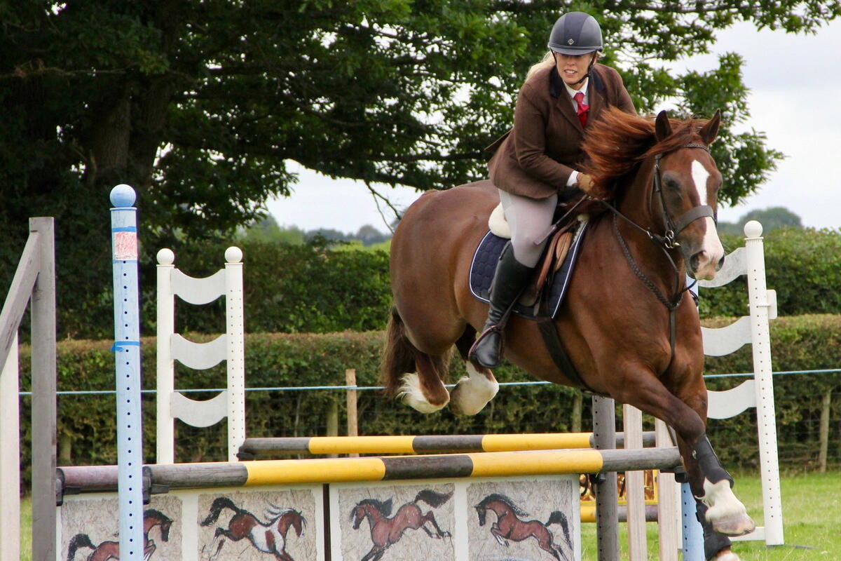 Showjumping