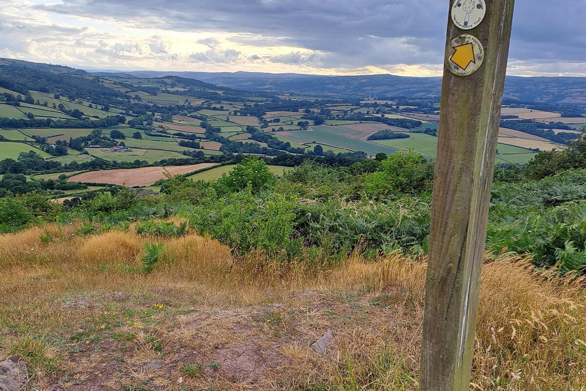 View from Merbach Hill