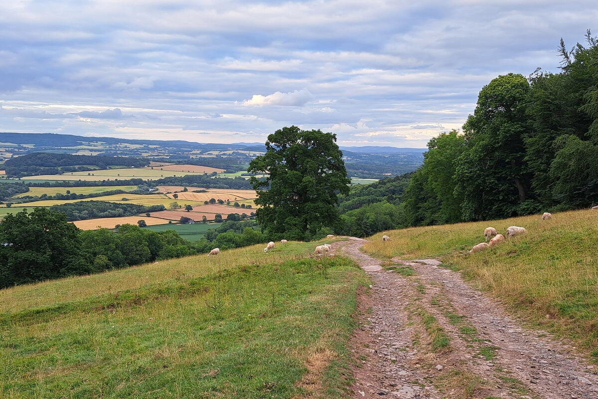 View from Merbach Hill