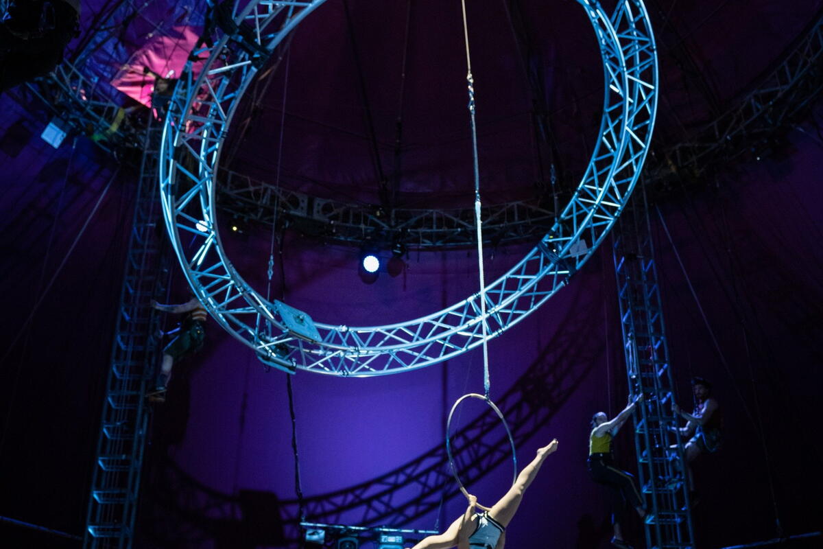 SABOTAGE by NoFit State Circus in Hereford | 23 May - 8 June