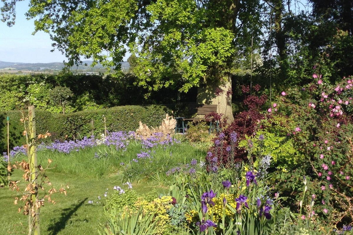 Putley Open Gardens 3