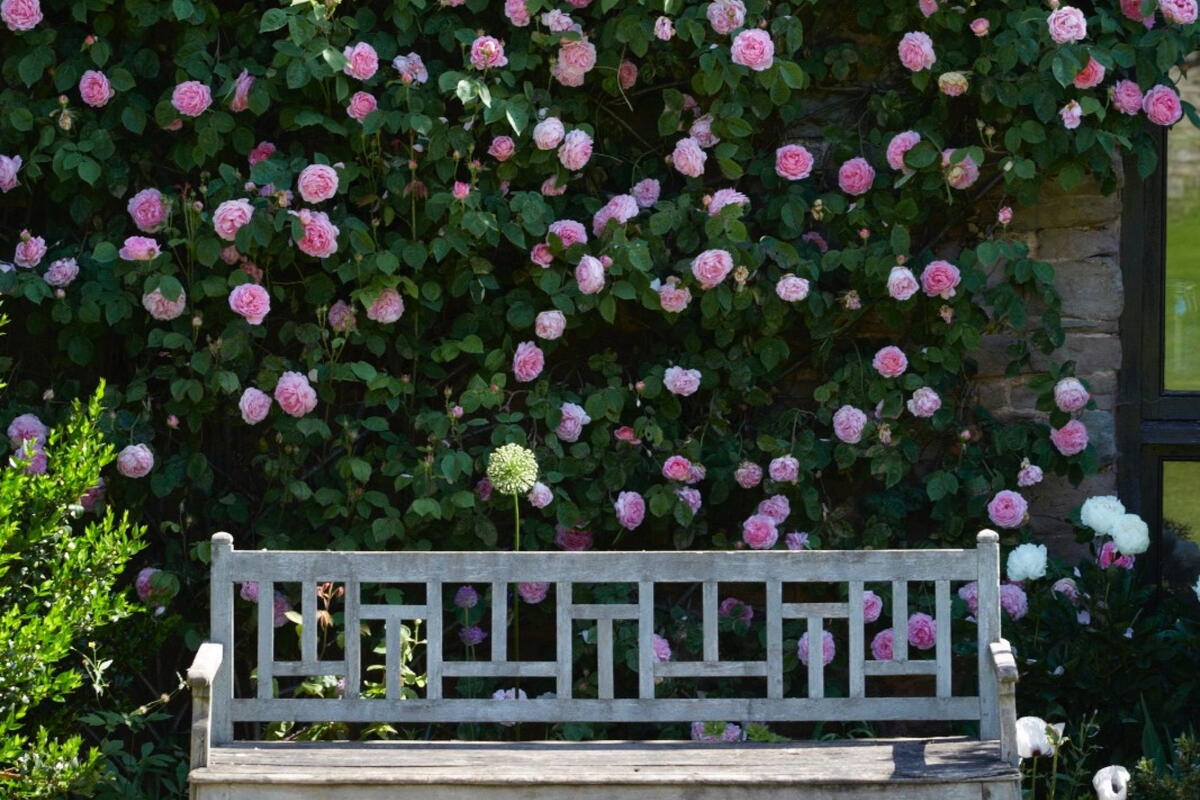 Netherwod Manor Open Garden