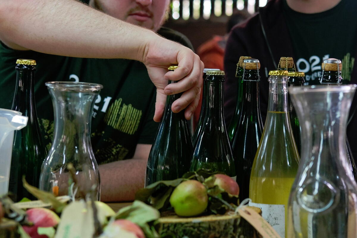 The Bottle Share