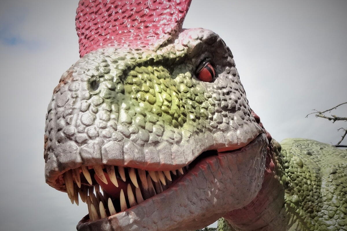 Dinosaur World