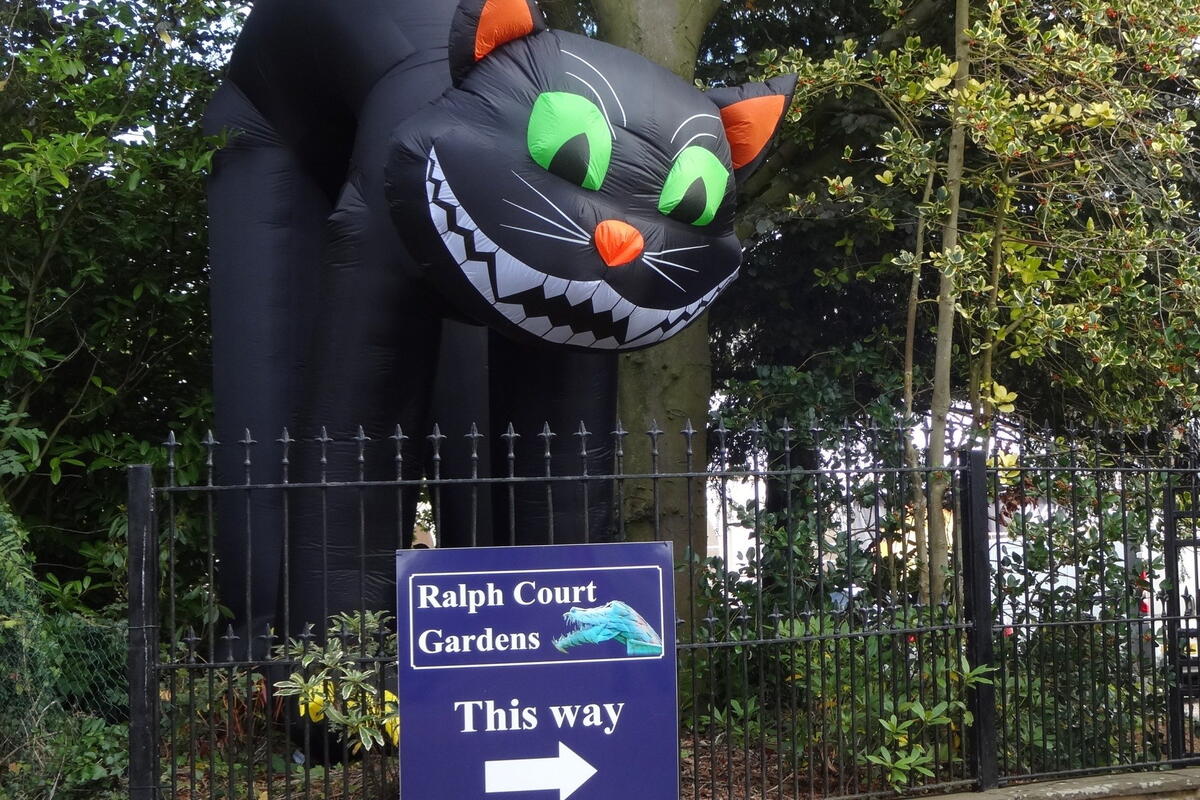 Entrance giant cat