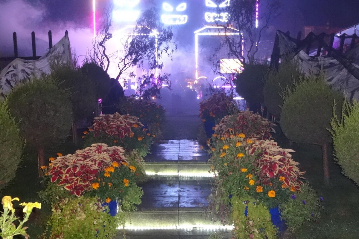 Halloween light show