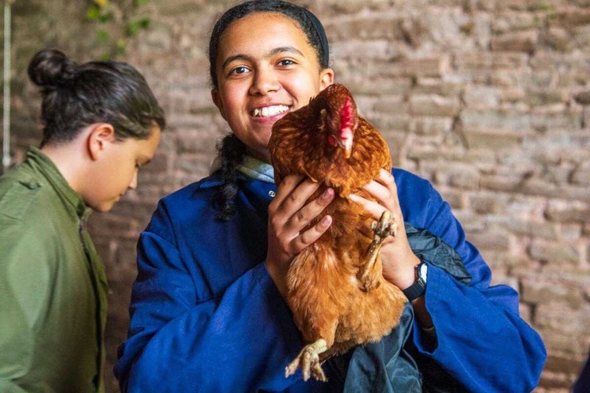 Jamie's Farm: Open Day