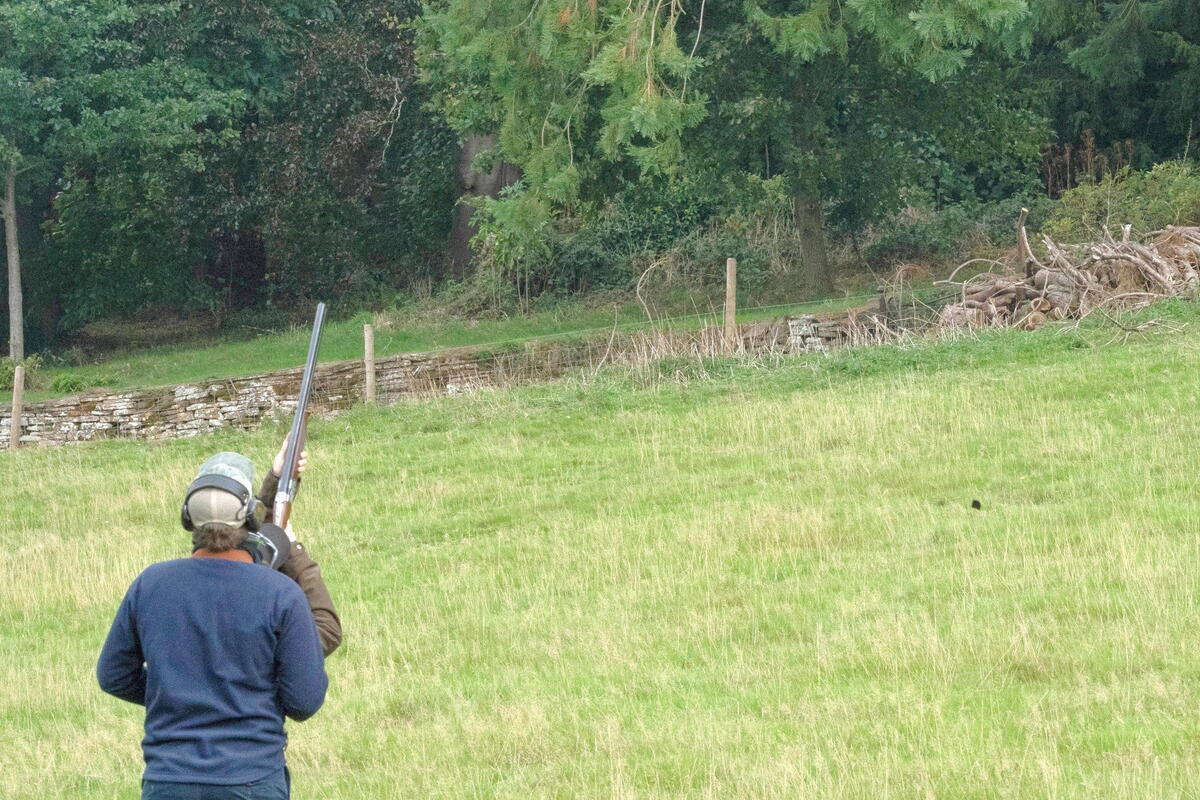Rowden Abbey Shoot Day into the woodland