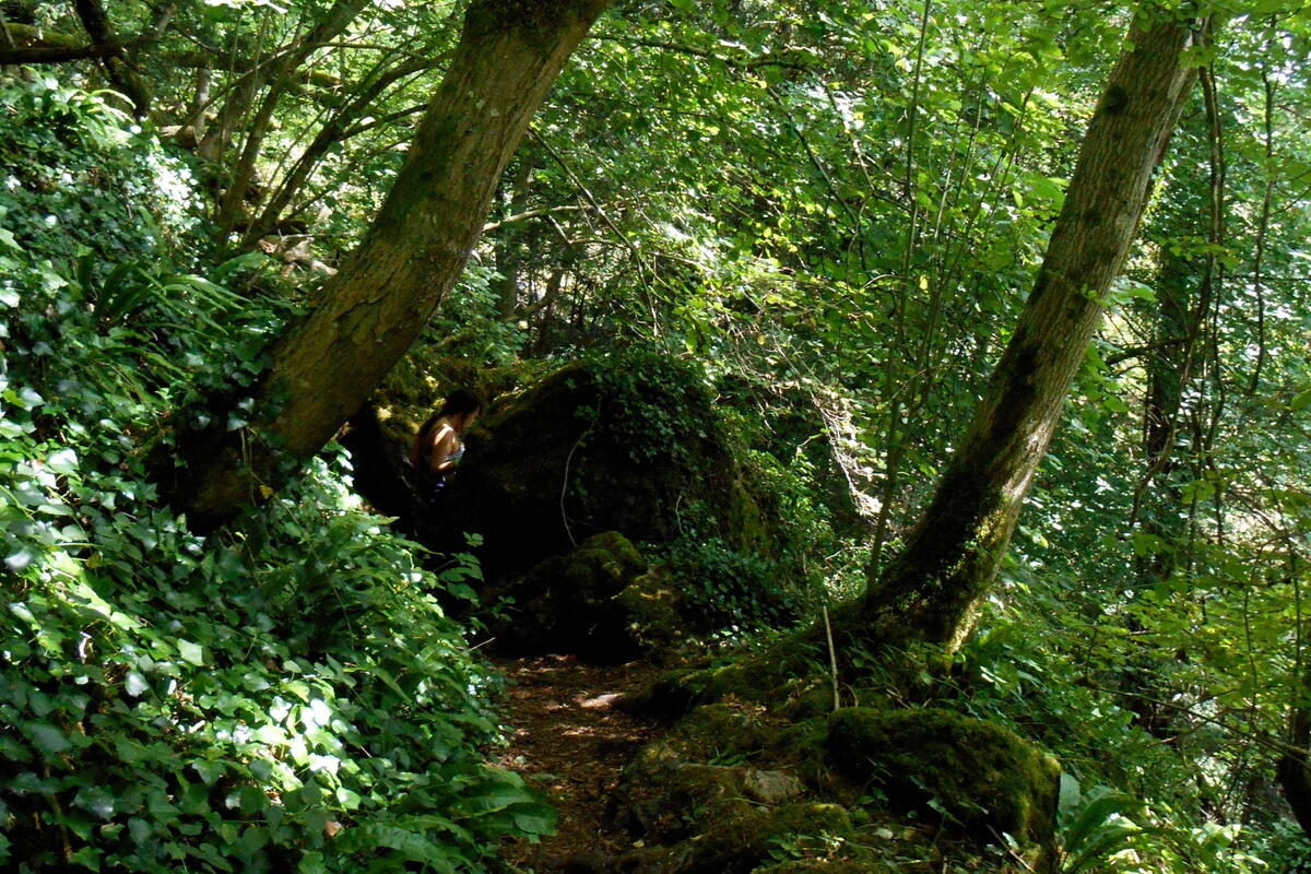 Chepstow Spring Walking Festival