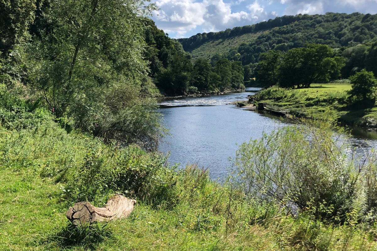 River Wye