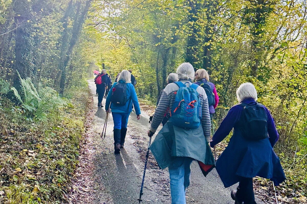 walkers on lane near Little mountain in woods