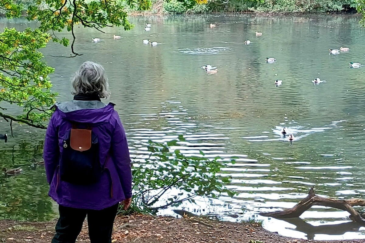 Ross Walking Festival