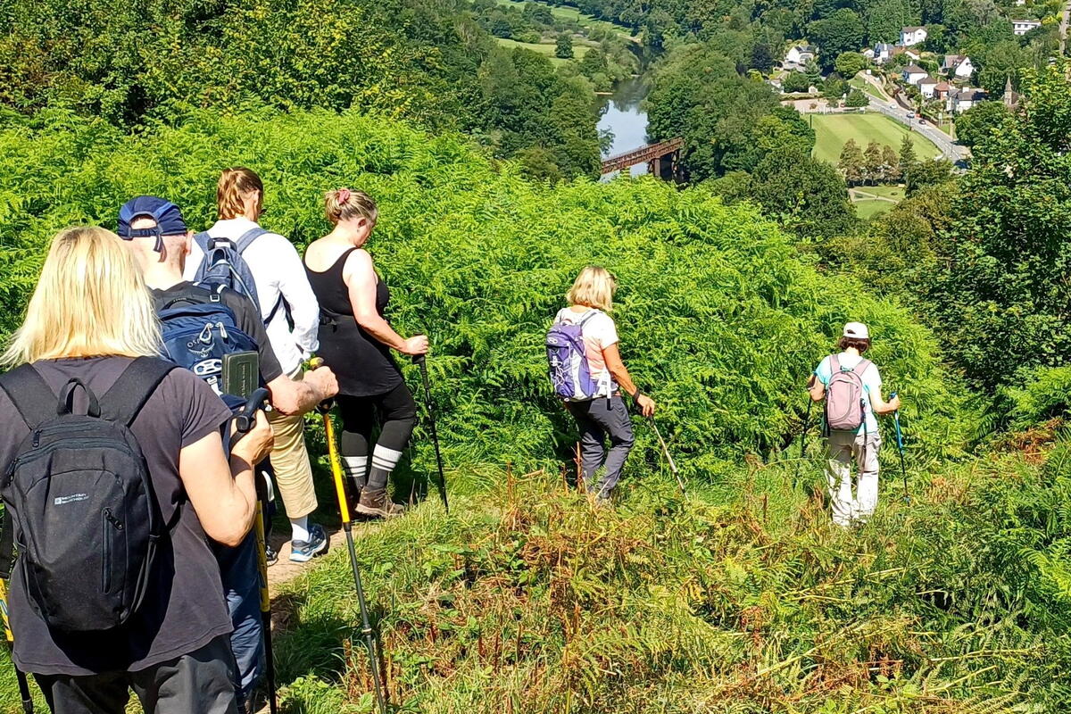 Ross Walking Festival