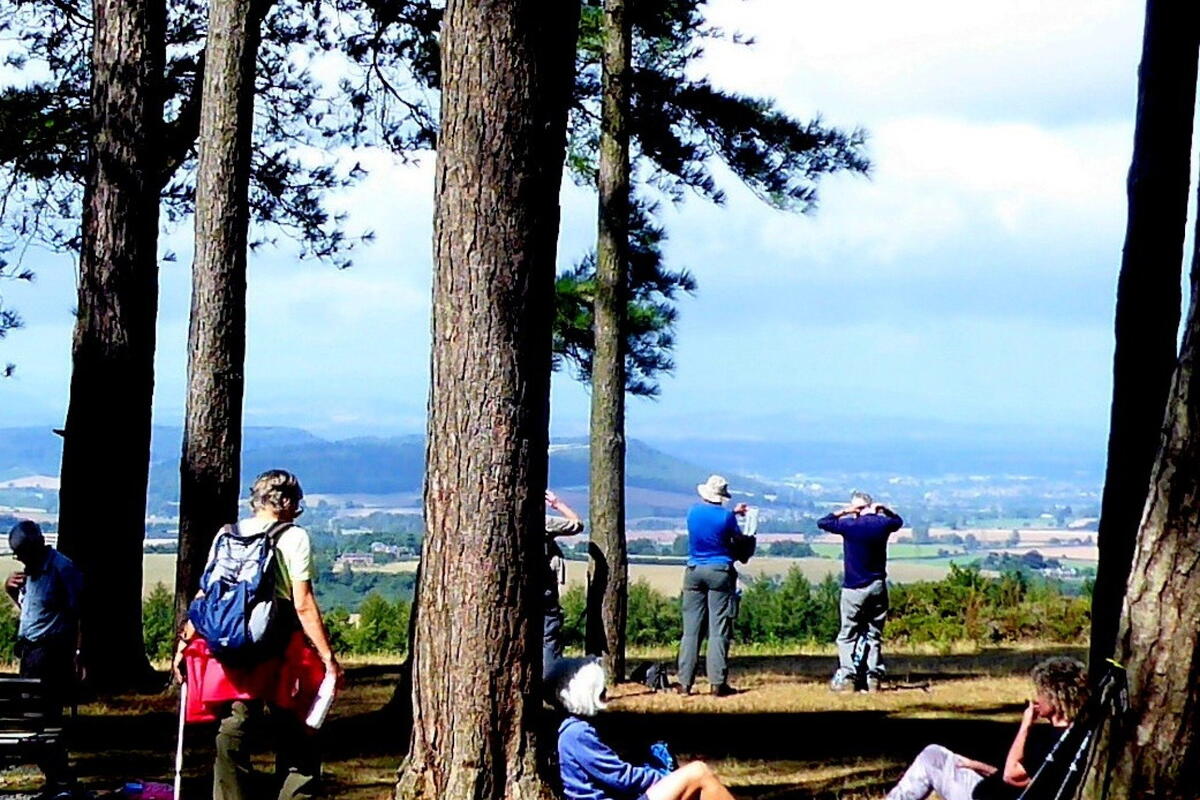 Ross Walking Festival