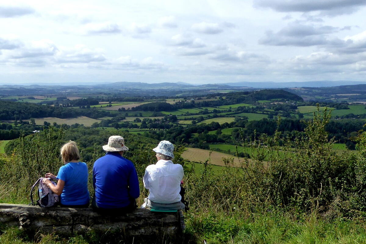 Ross Walking Festival