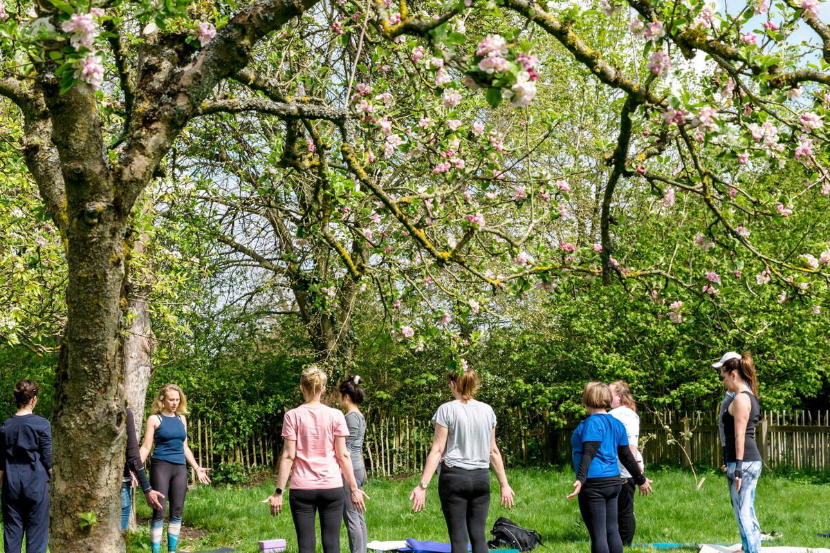 Yoga session in the orchard