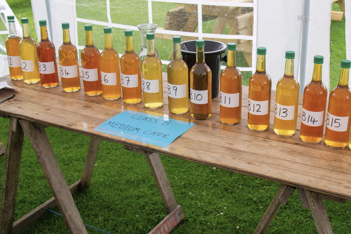 Yew Tree Cider Trials