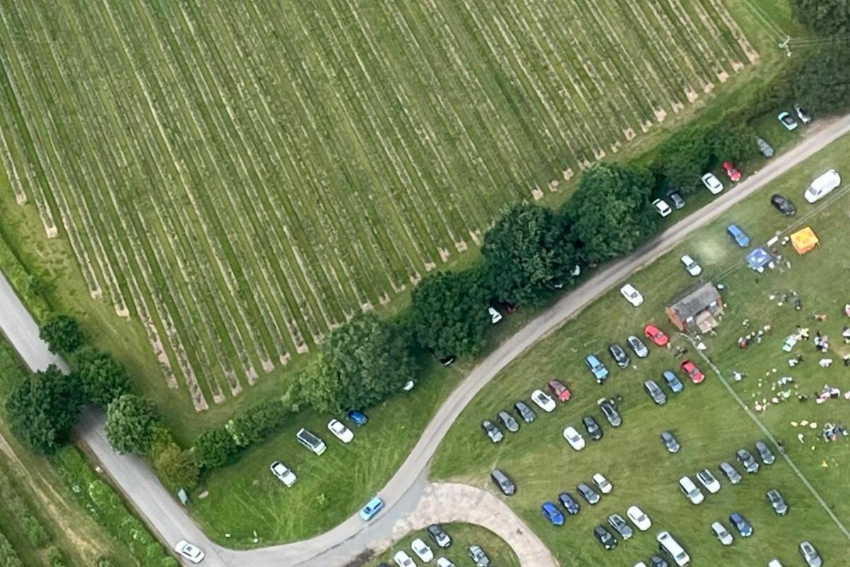 Teddy Bear’s picnic