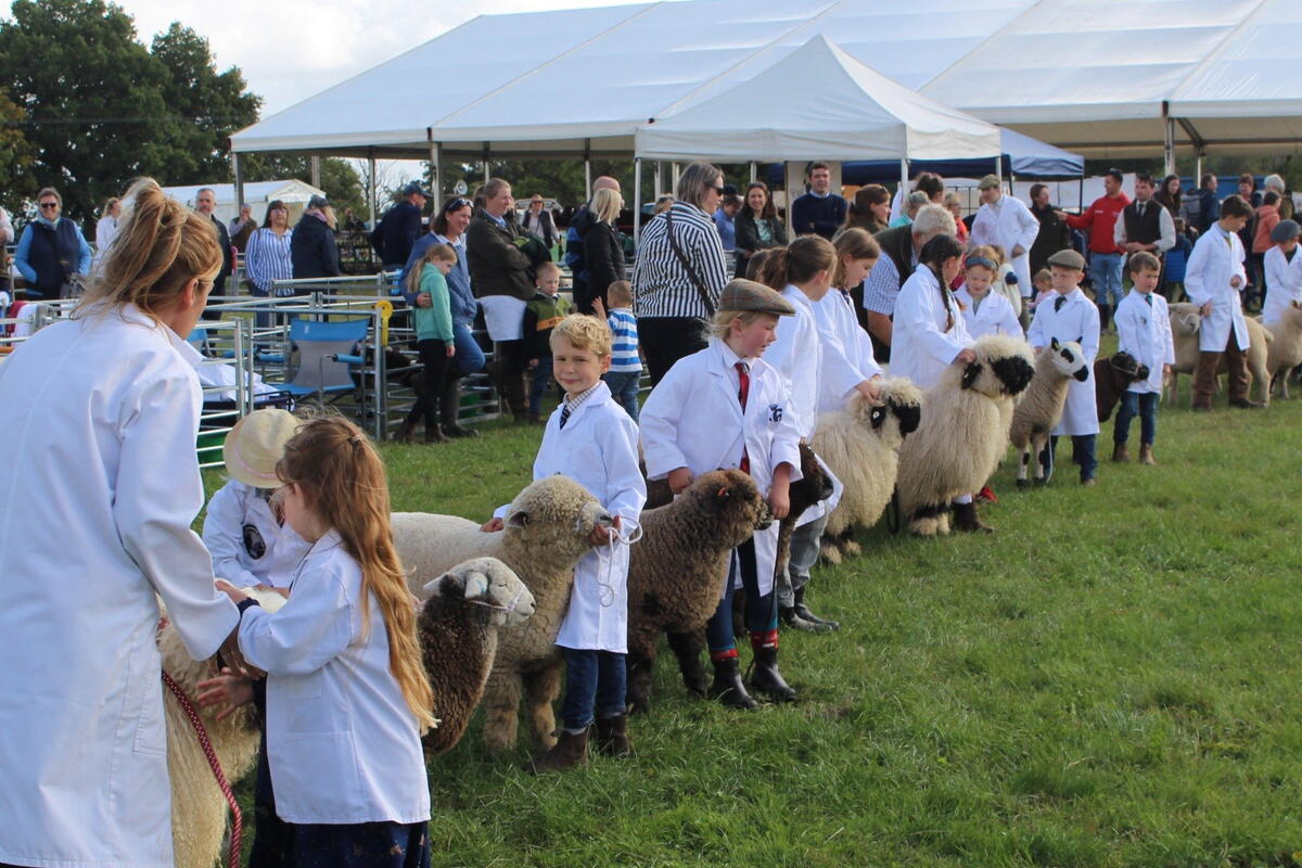 Kington Show