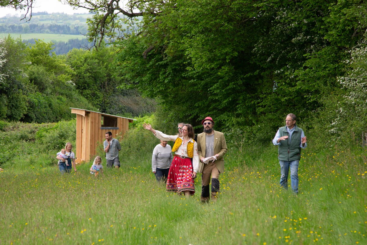 The top of the orchard