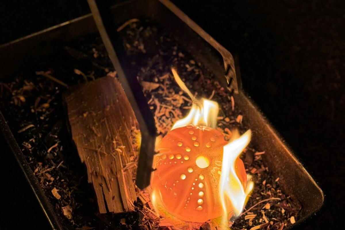 Raku Experience