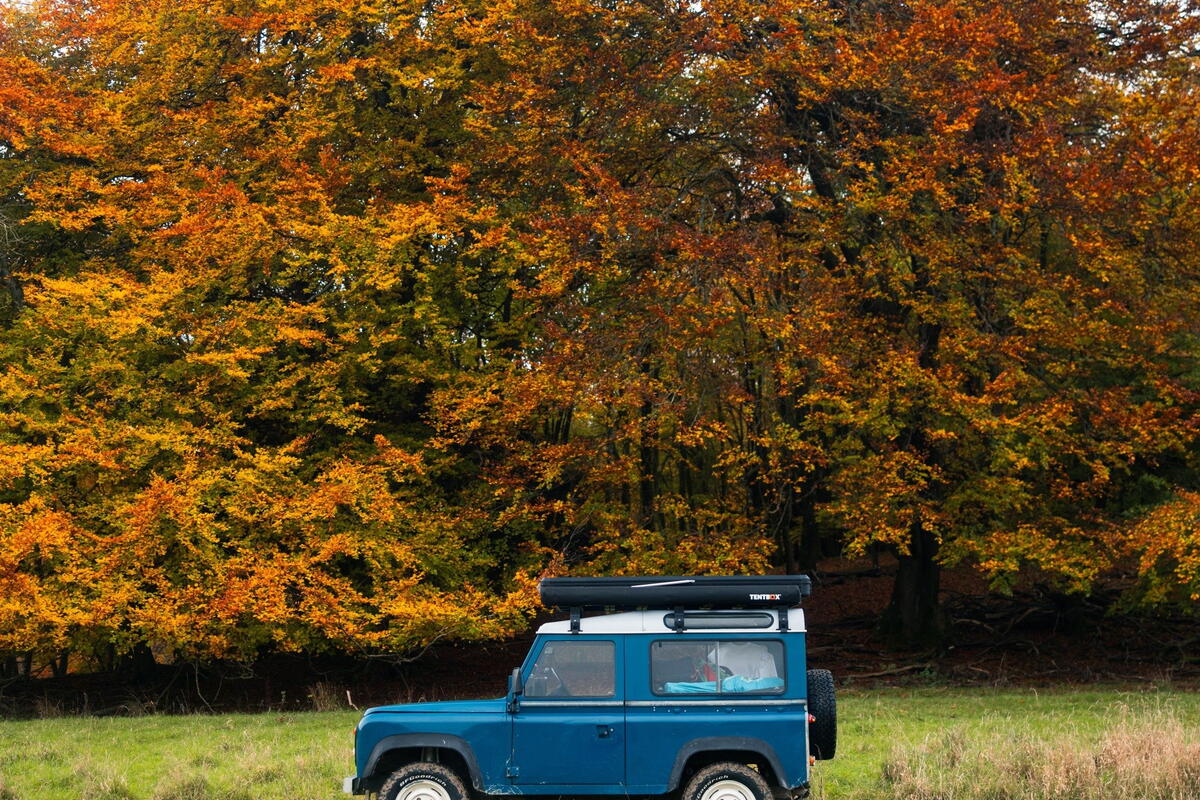 Blue Tit's 40th Birthday Party