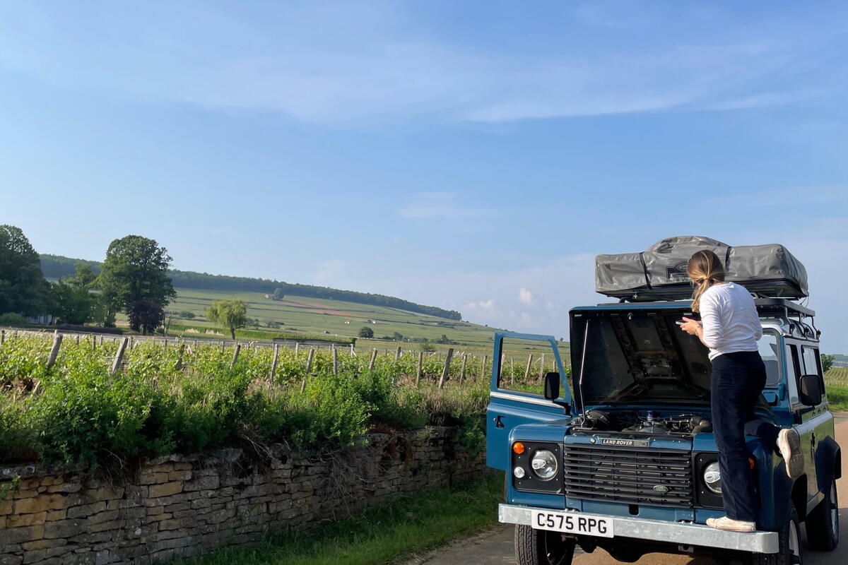 Blue Tit's 40th Birthday Party