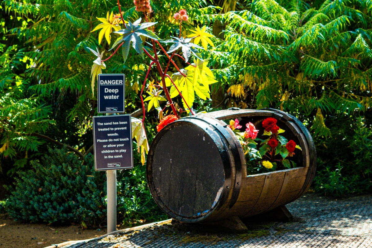 National Garden Scheme Open Day