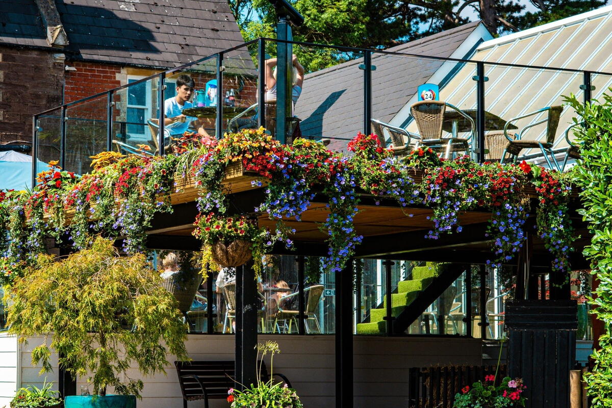 National Garden Scheme Open Day