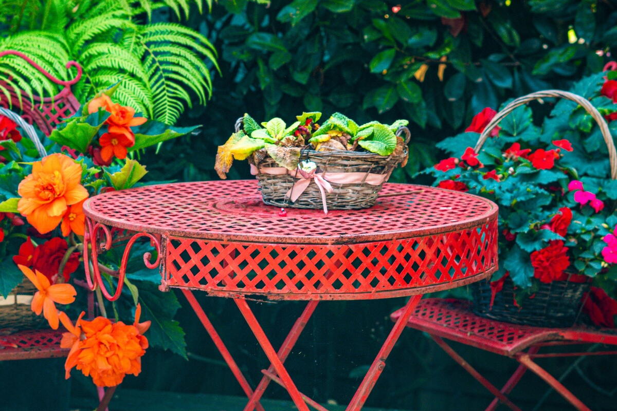 National Garden Scheme Open Day