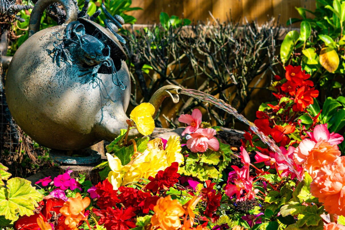 National Garden Scheme Open Day
