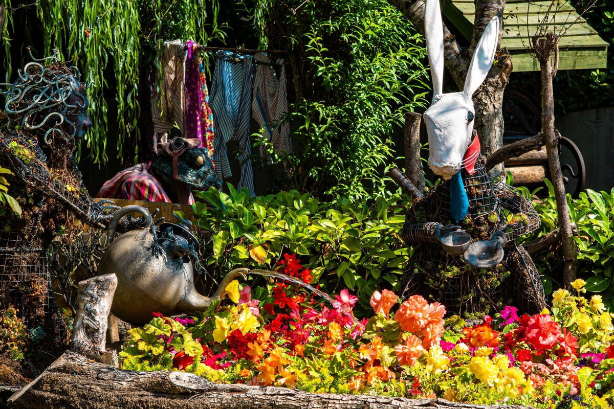 National Garden Scheme Open Day