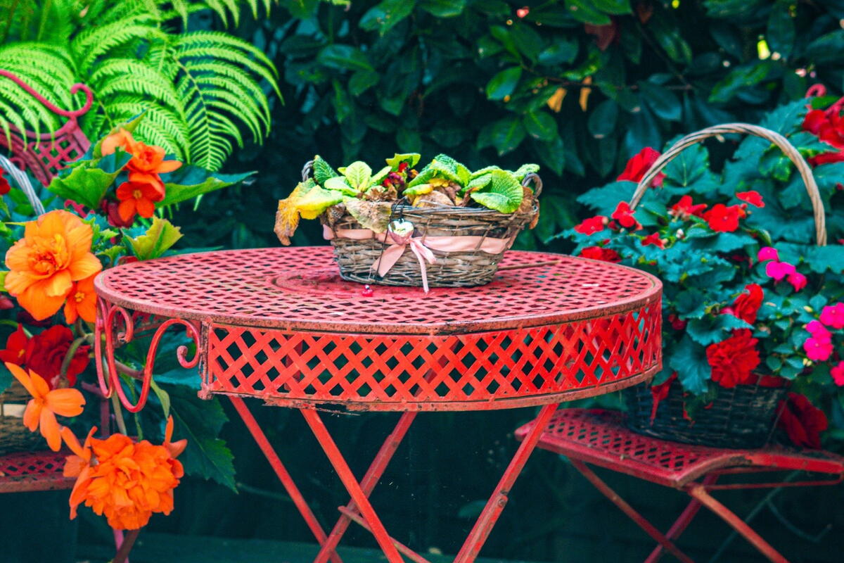 National Garden Scheme Open Day