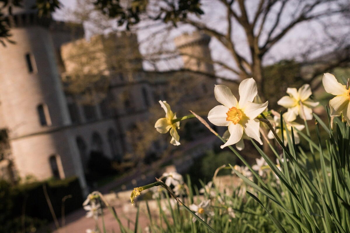 Super Smashing Easter Treasure Hunt