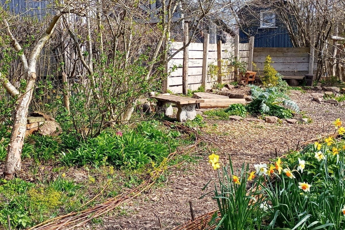 Root to Fruit Garden Festival