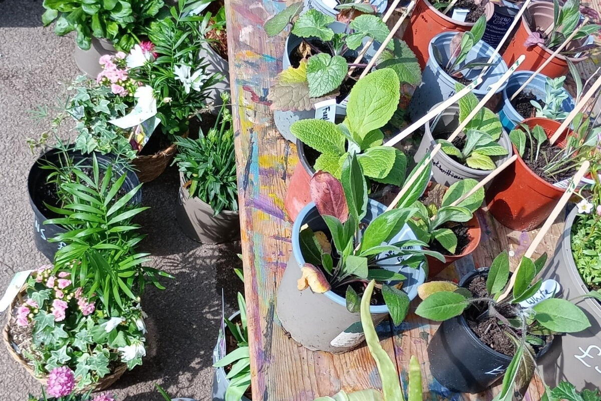 Root to Fruit Garden Festival