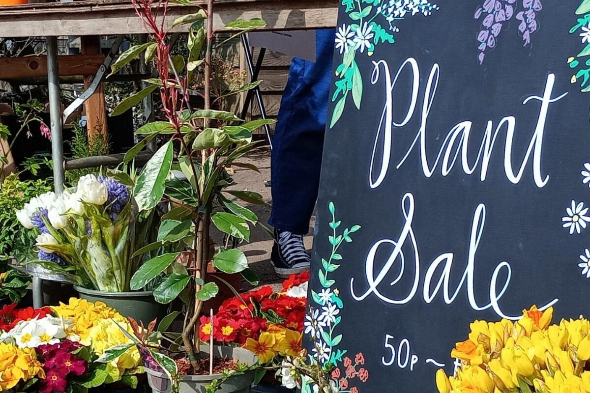 Root to Fruit Garden Festival