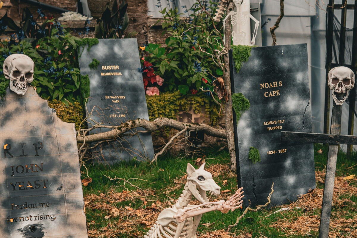 Halloween Daytime Event