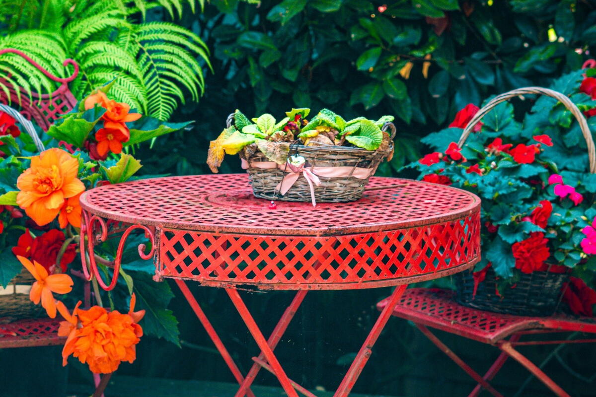 National Garden Scheme Open Day
