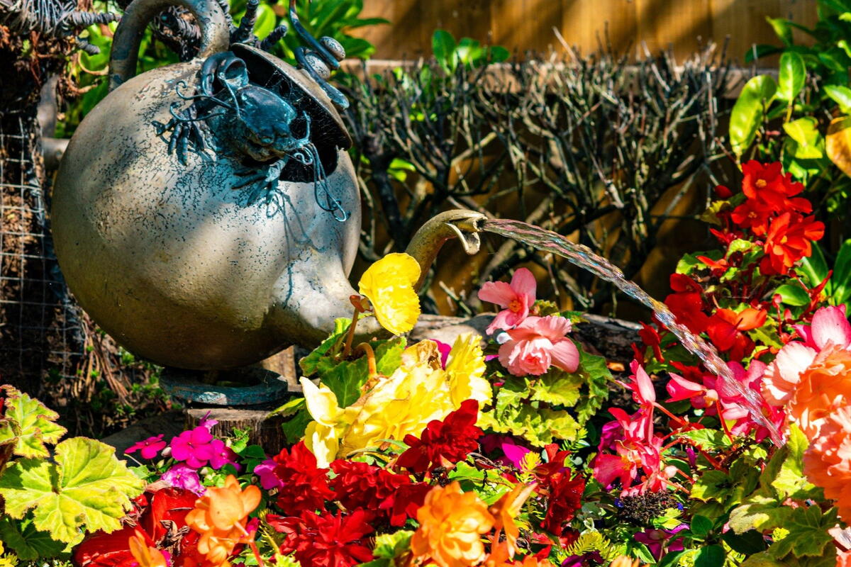 National Garden Scheme Open Day