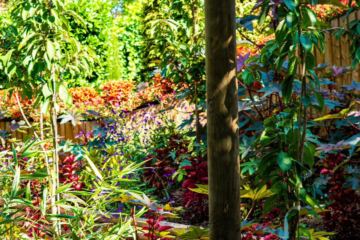 National Garden Scheme Open Day