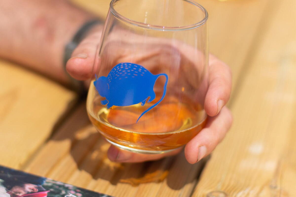 A glass of Artistraw cider
