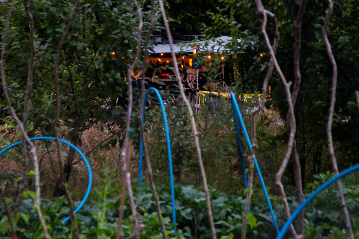 Stroll through the orchard and permaculture garden