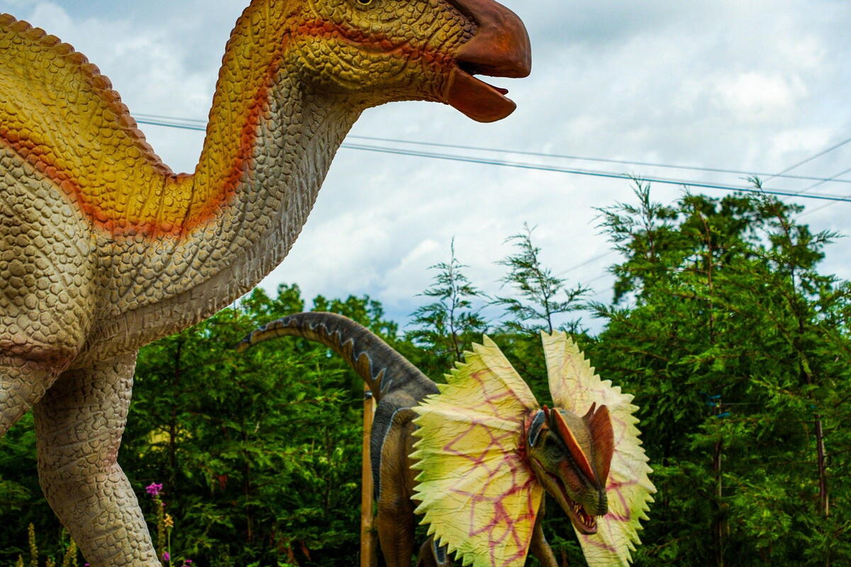 Early May Bank Holiday