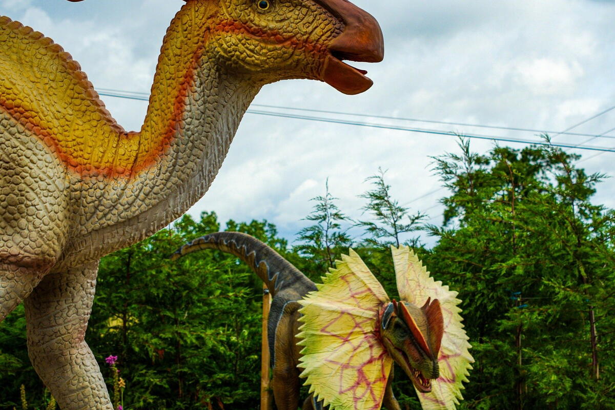 Early May Bank Holiday