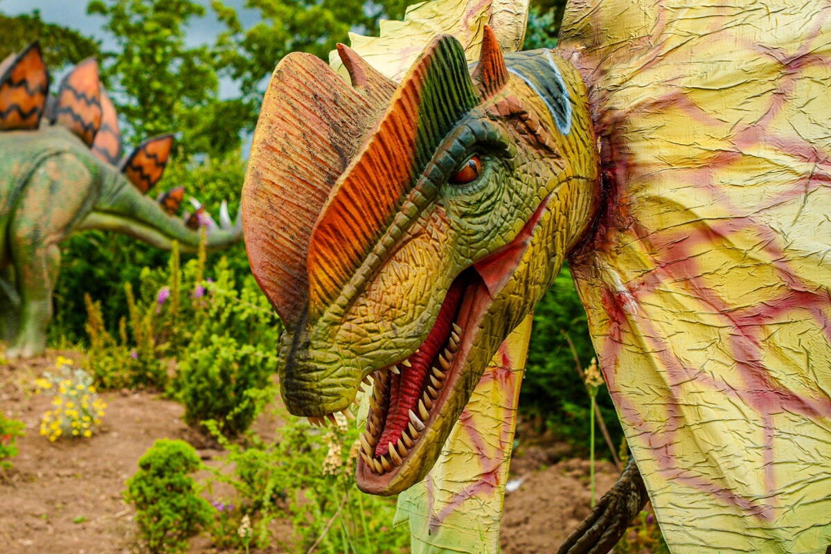 Early May Bank Holiday