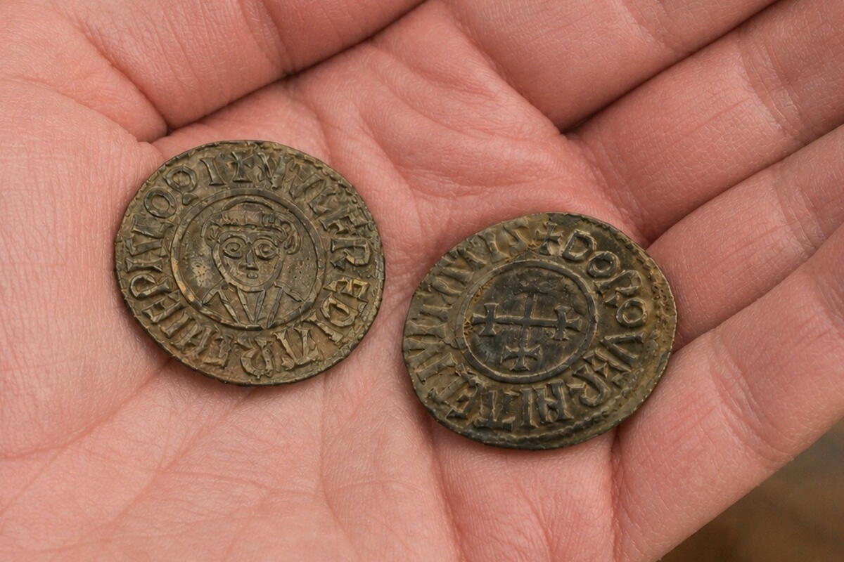 Guided tours - Hands on history