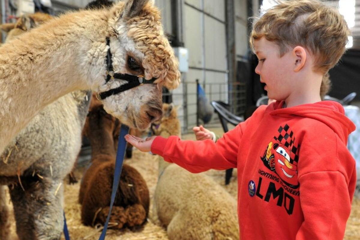 Royal Three Counties Show