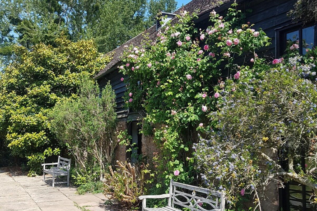 The Garden Gallery