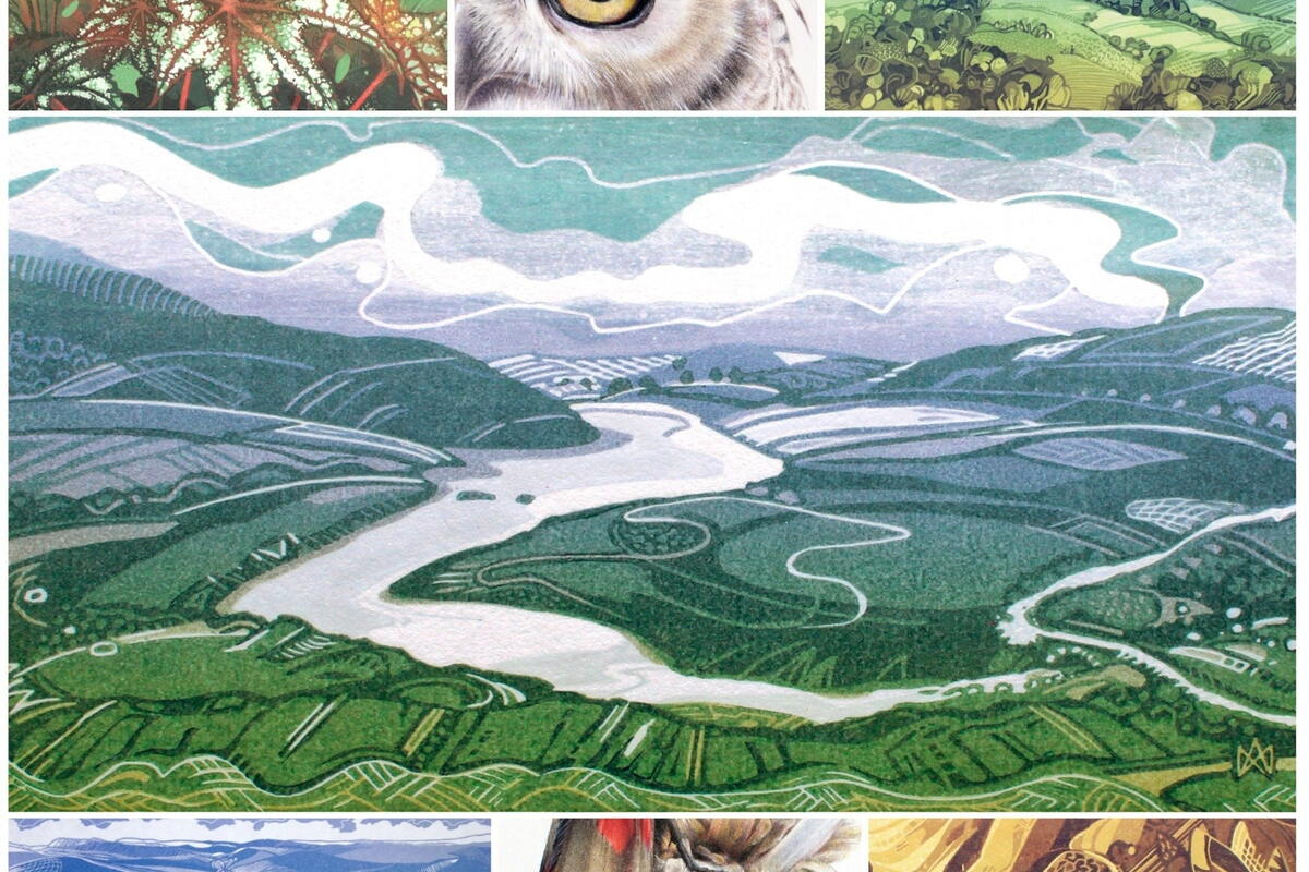 Collage of artworks by artist Miranda Whitten-Walker